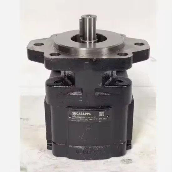 CASAPPA External Gear Oil Pump PHP20 high quality