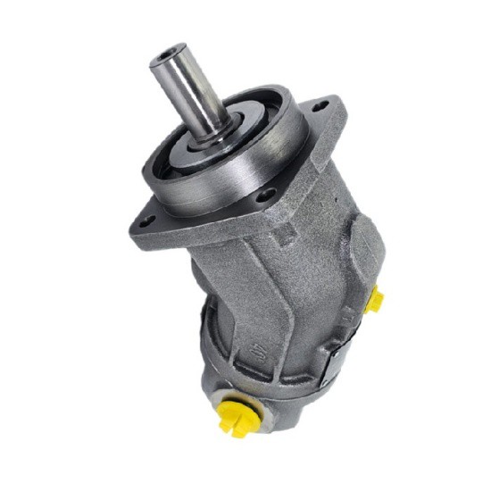 Plunger Motor Quantitative Pump A2FO12/61R-PPB06