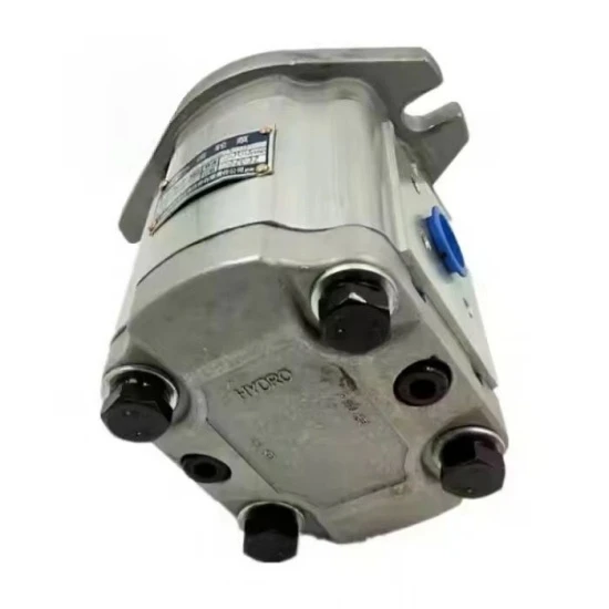 Gear Pump CBK1010-B3FL best