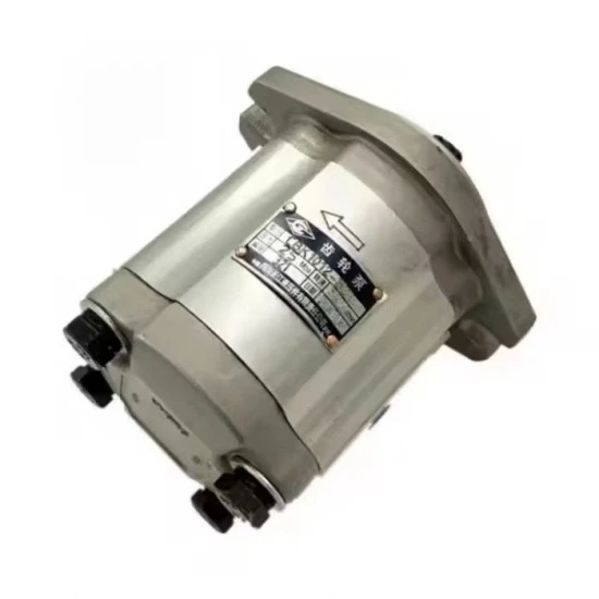Gear Pump CBK1010-B3FL suppliers