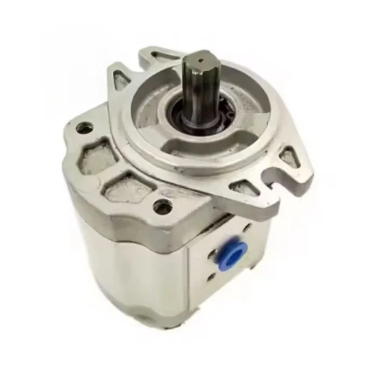 Gear Pump CBK1010-B3FL high quality