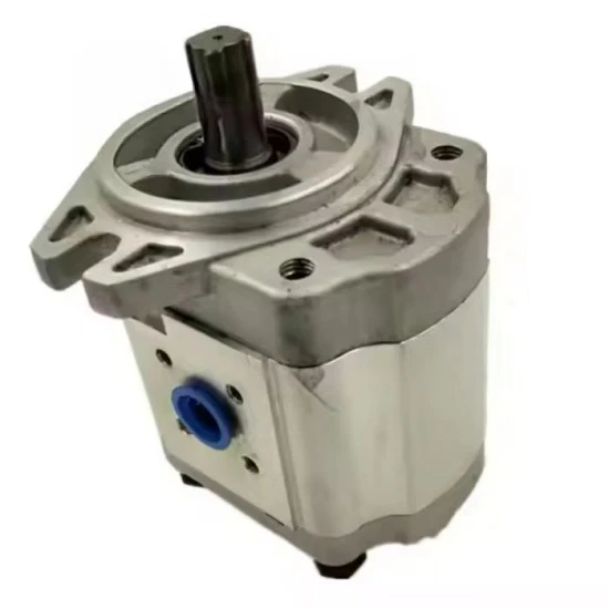 Gear Pump CBK1010-B3FL